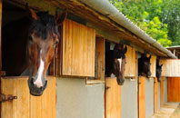 free Snettisham stable construction quotes
